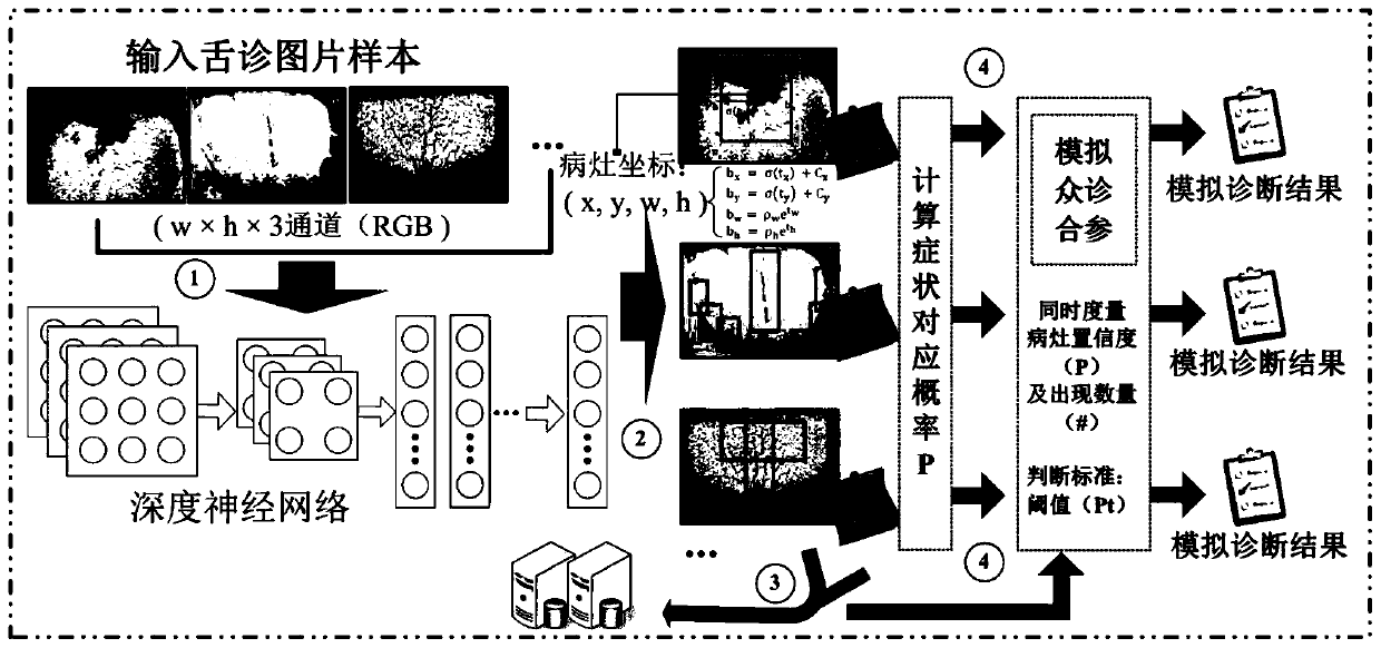 Two-stage deep transfer learning traditional Chinese medicine tongue diagnosis model