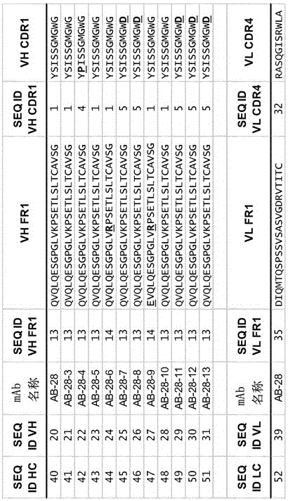 Cross-reactive staphylococcus aureus antibody sequences