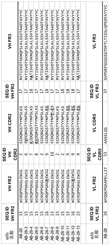 Cross-reactive staphylococcus aureus antibody sequences