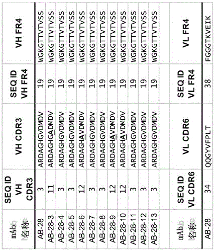 Cross-reactive staphylococcus aureus antibody sequences