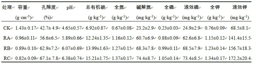 Cultivation method of preventing banana continuous cropping obstacle in banana-rice-pineapple crop rotation