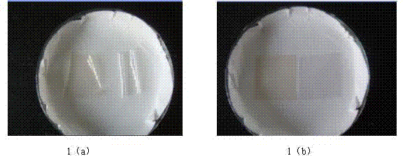 Preparation method of lithium-ion secondary battery diaphragm with a crosslinking composite layer