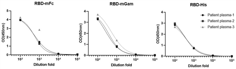 Antibodies against SARS-CoV-2 and uses thereof