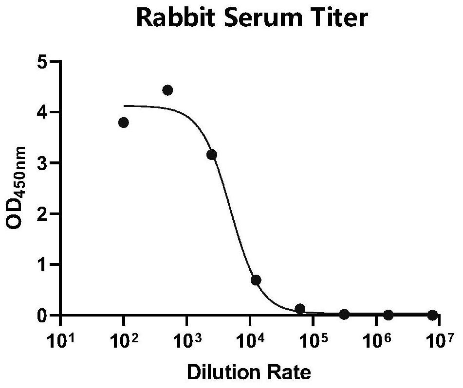 Antibodies against SARS-CoV-2 and uses thereof