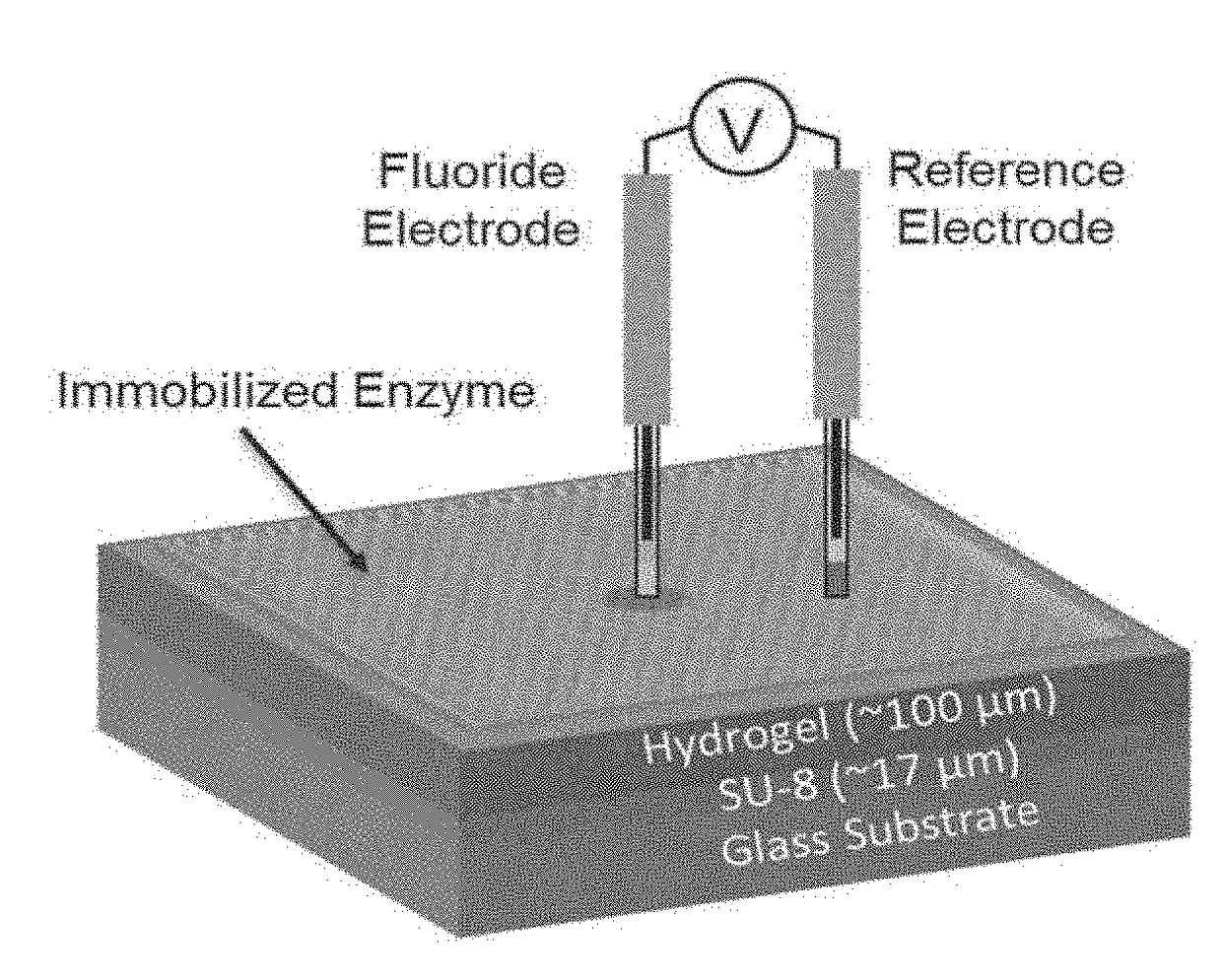 Potential gradient amplified detection of chemical agents