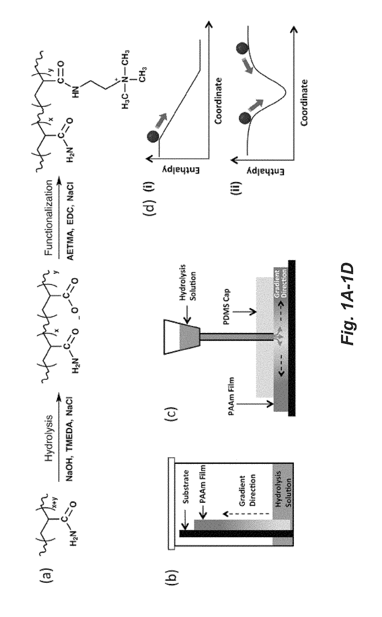 Potential gradient amplified detection of chemical agents