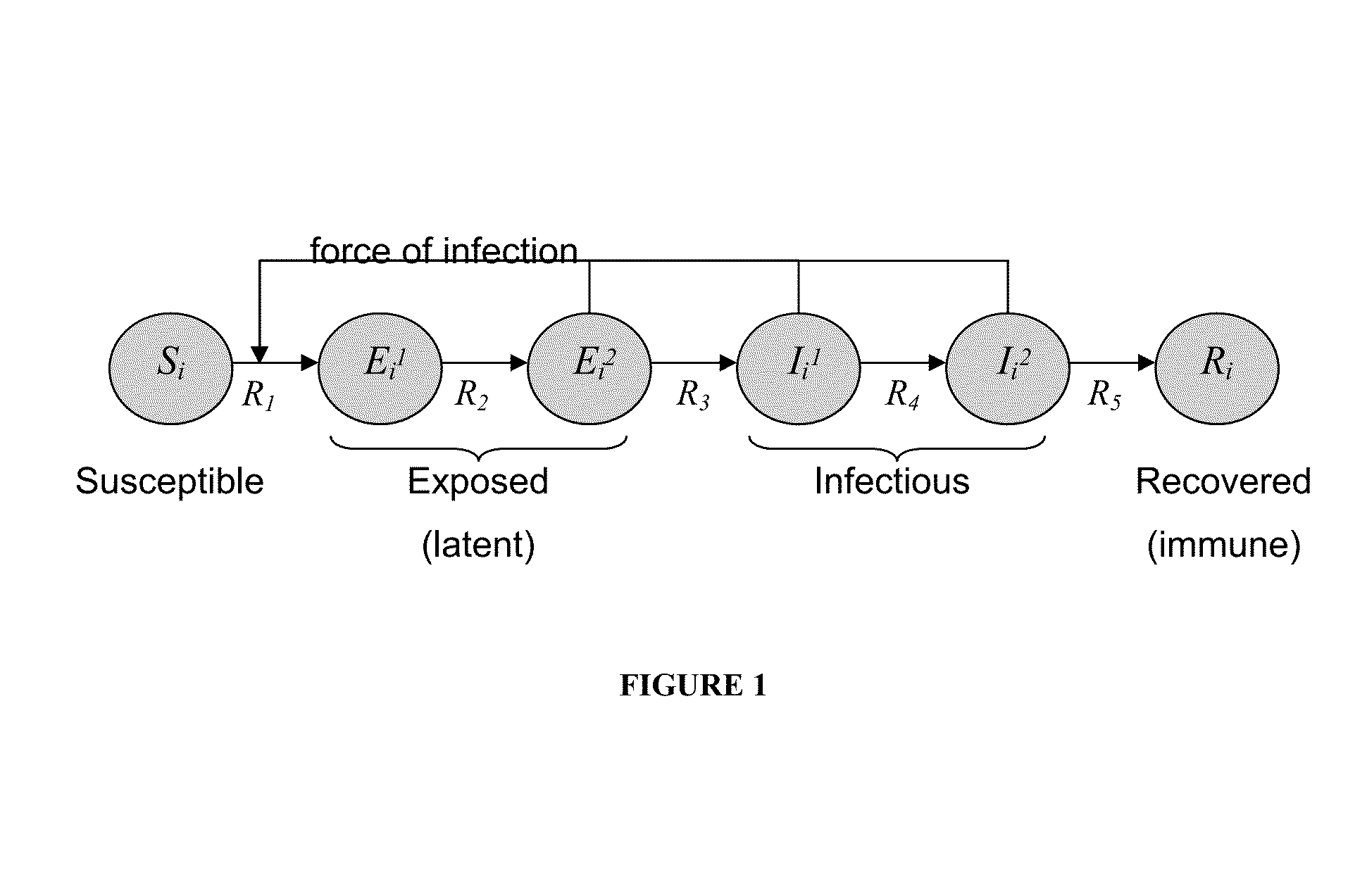 Integrated health data capture and analysis system