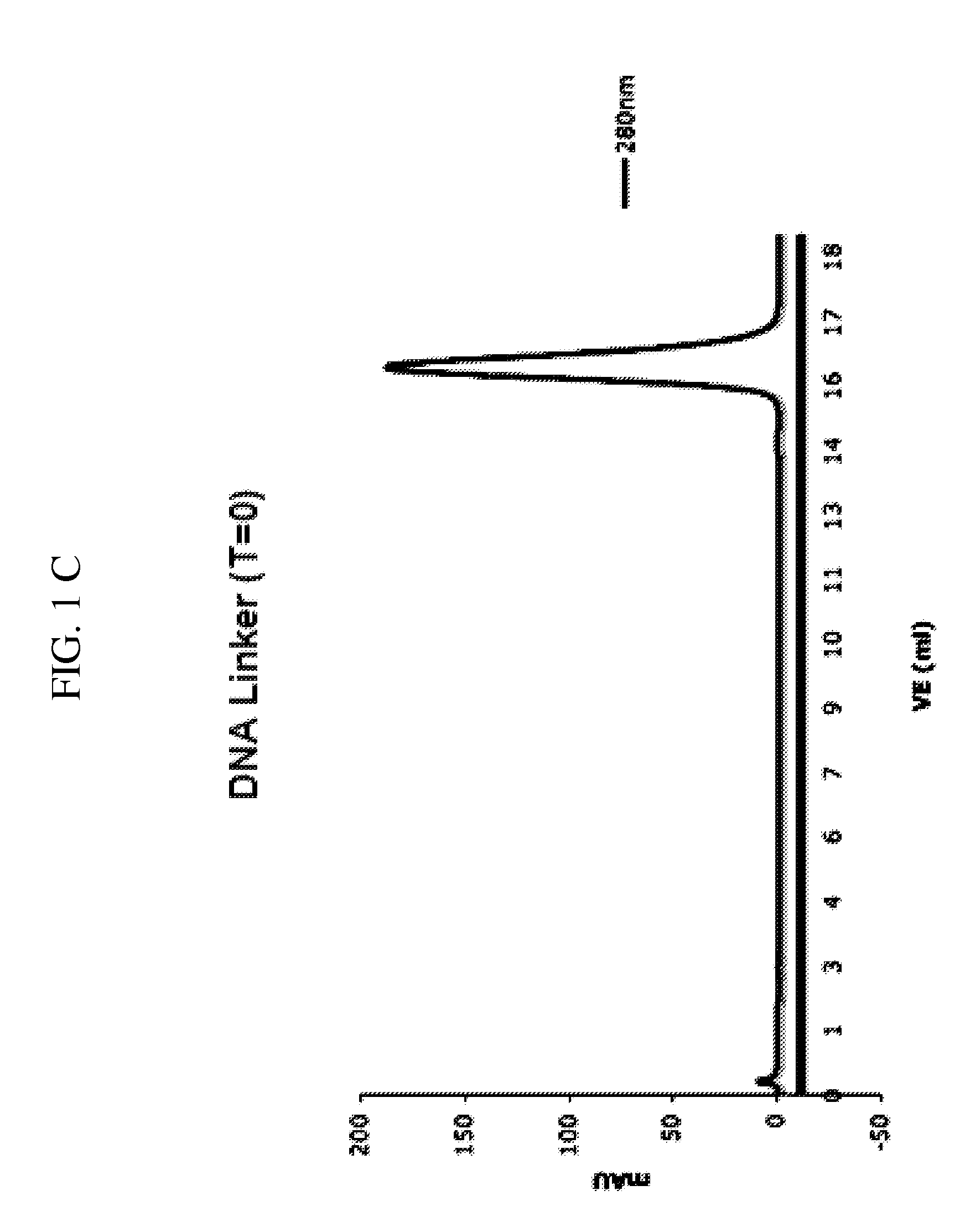 Detection of a polypeptide dimer by a bivalent binding agent