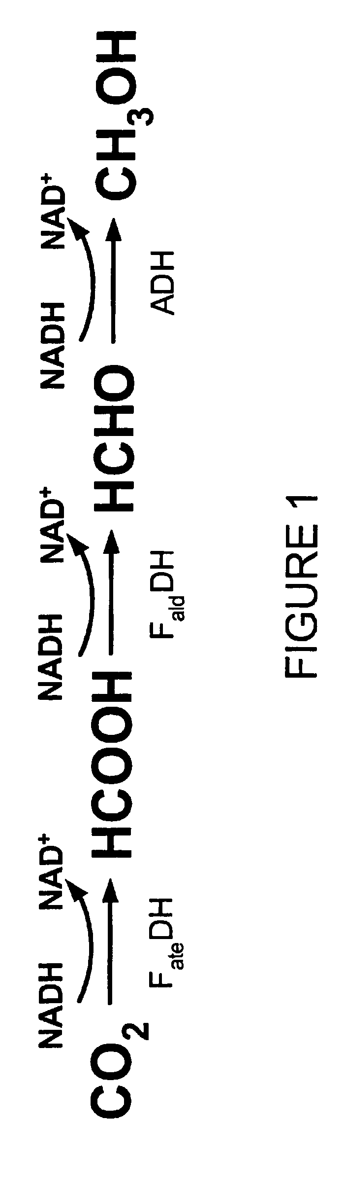 Conversion of carbon dioxide to methanol in silica sol-gel matrix