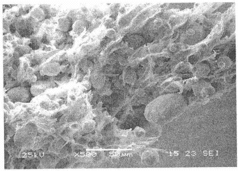 Binder for micro-powder injection molding and application method thereof