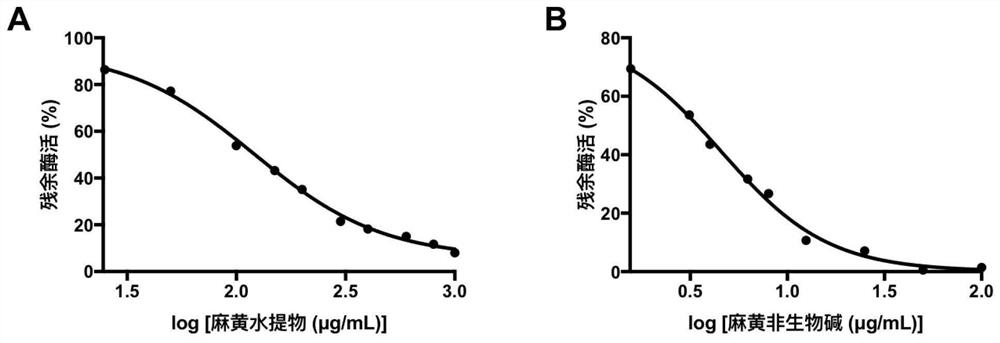 Ephedra sinica/ephedra intermedia/ephedra equisetina stem extract and active components and application thereof