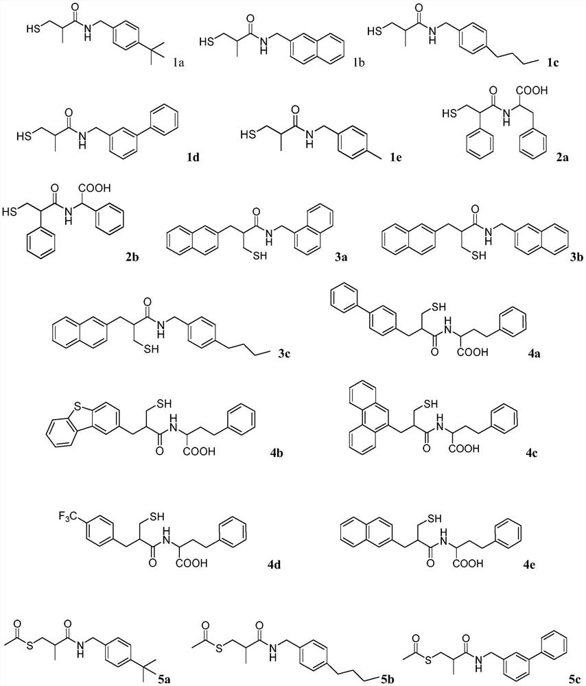 Mercaptopropionamide compounds, preparation method and medicinal use thereof