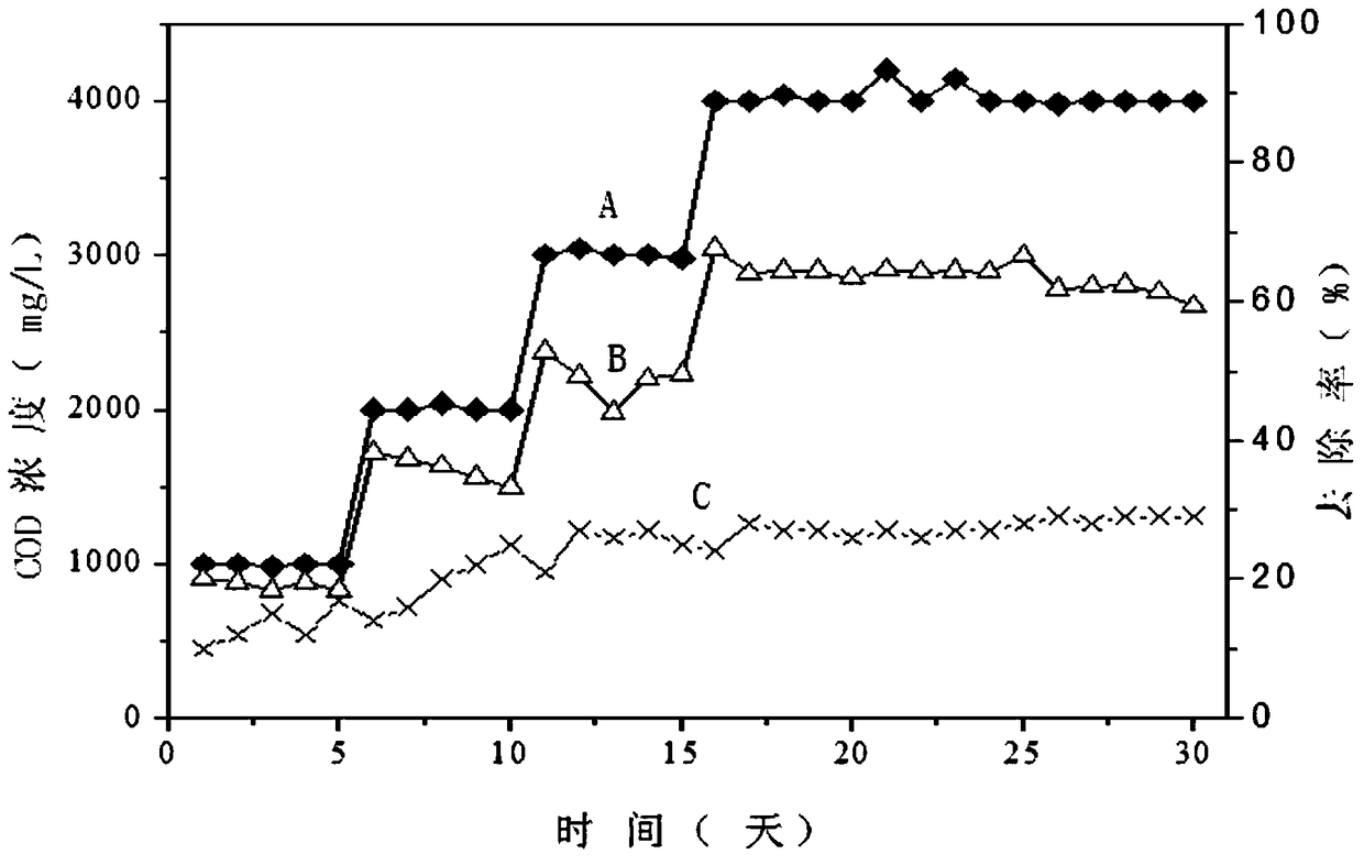 Sludge circulation type high-efficiency hydrolysis reaction device