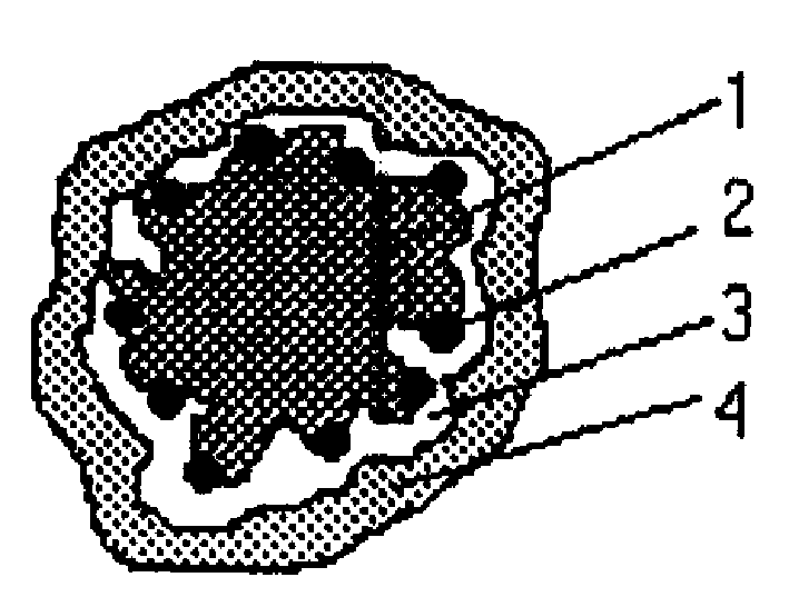 Preparation method of magnetic guiding anticancer medicine