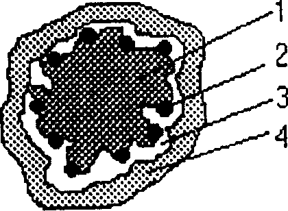 Preparation method of magnetic guiding anticancer medicine