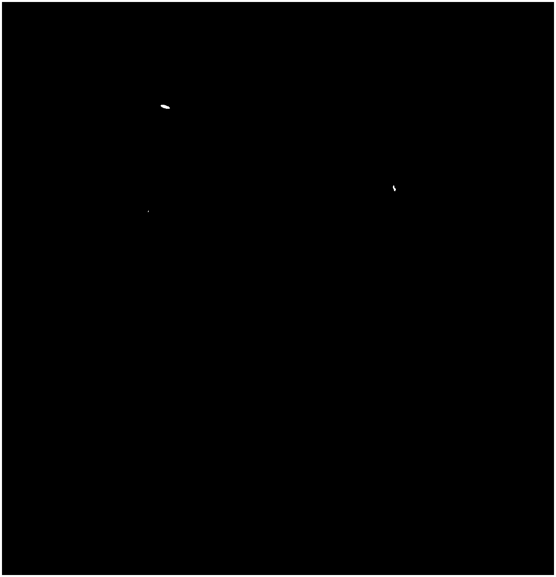 Production method of skin pathological section