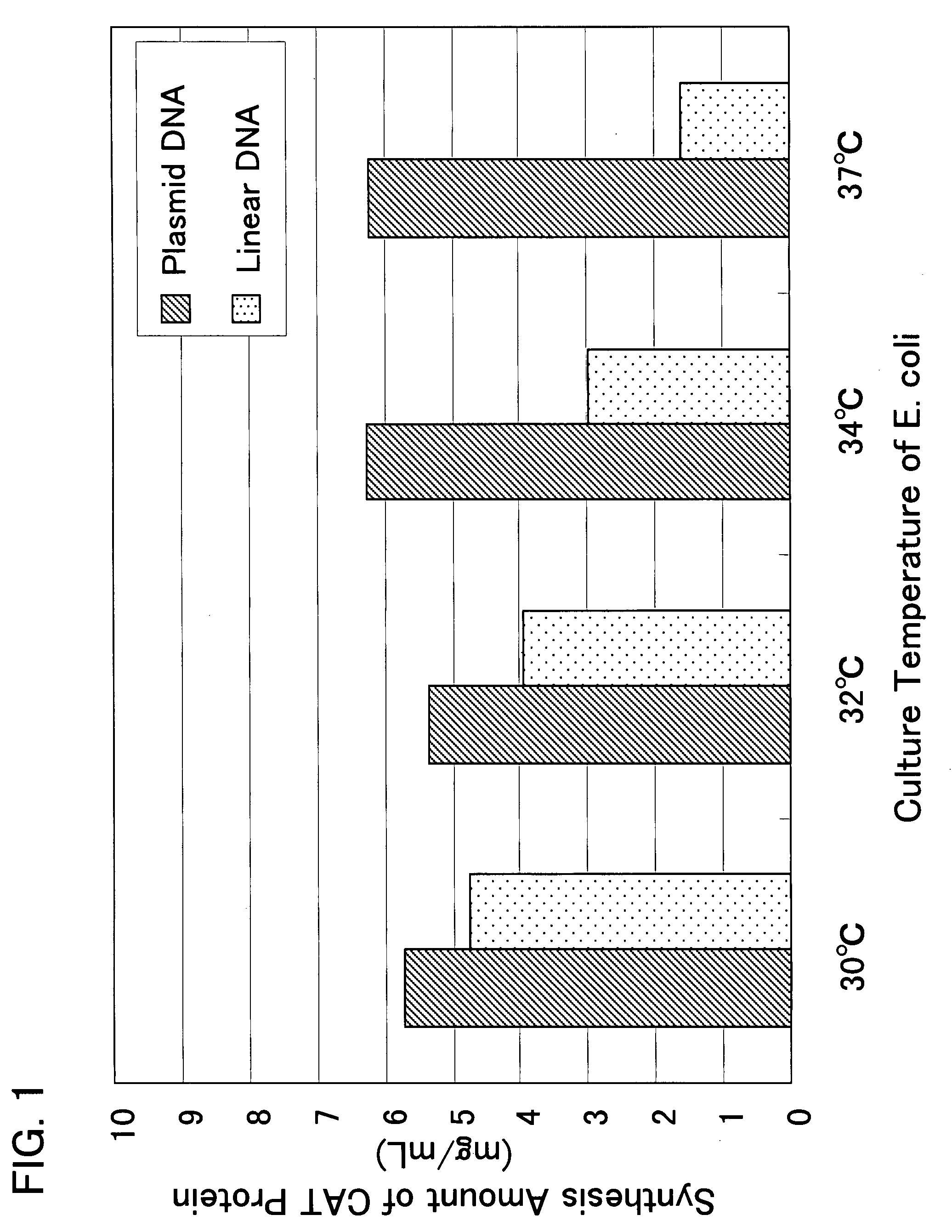 Cell-free protein synthesis method with the use of linear template DNA and cell extract therefor