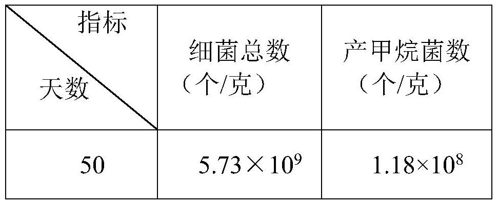 A kind of preparation method of biogas fermentation promoting bacterial agent