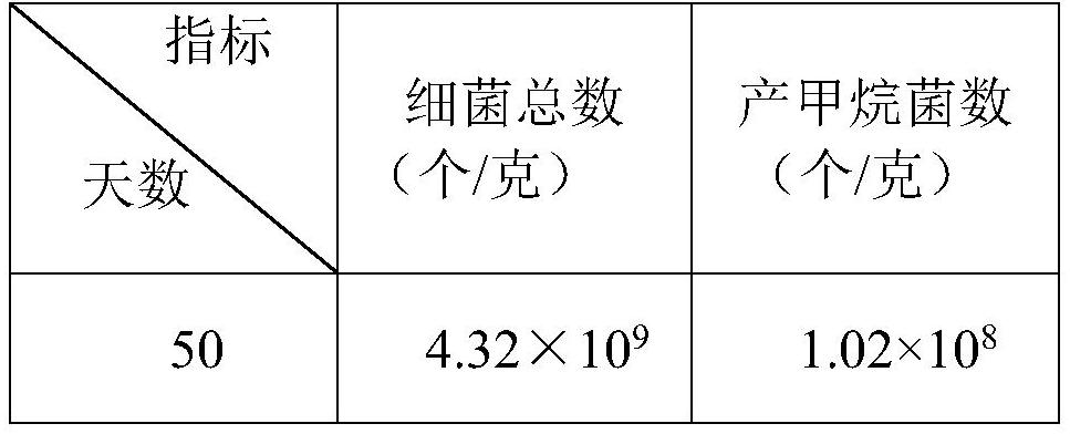 A kind of preparation method of biogas fermentation promoting bacterial agent