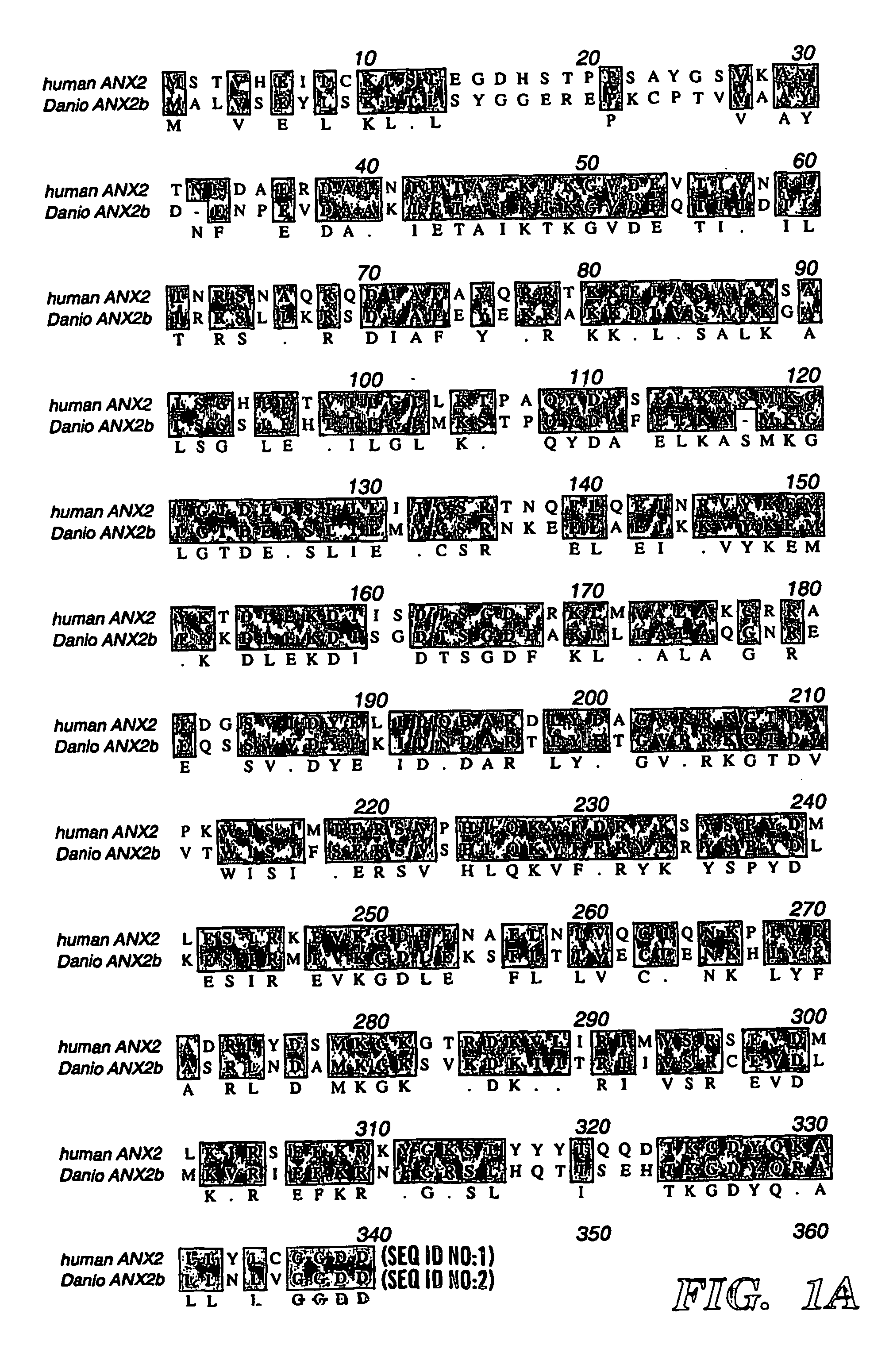 Methods and compositions for inhibiting cholesterol uptake