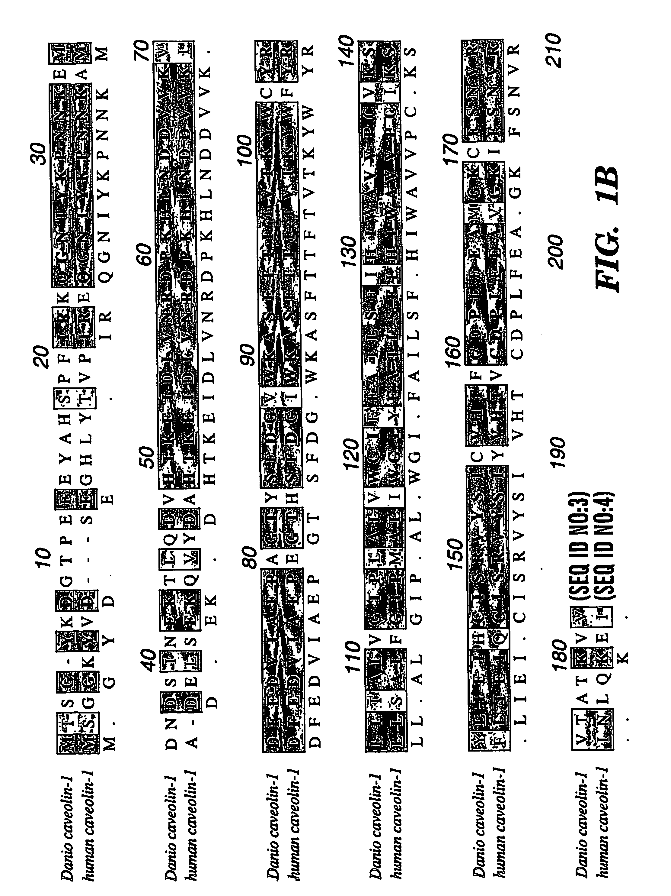 Methods and compositions for inhibiting cholesterol uptake