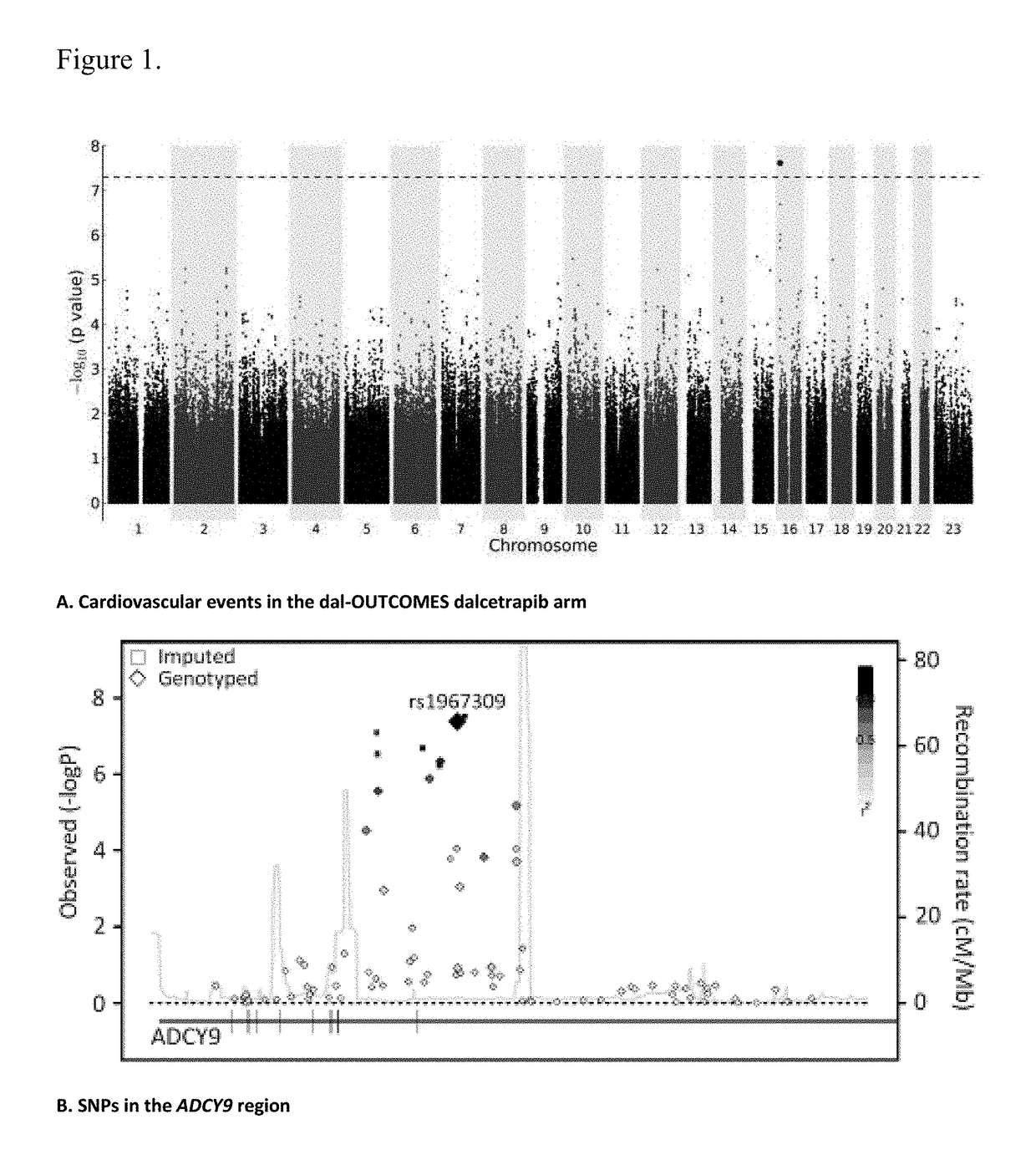 Genetic markers for predicting responsiveness to therapy with hdl-raising or hdl mimicking agent