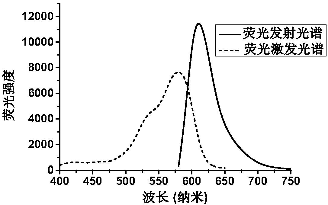 Rhodamine-sialic acid conjugate and synthesizing method and application thereof to lysosome imaging