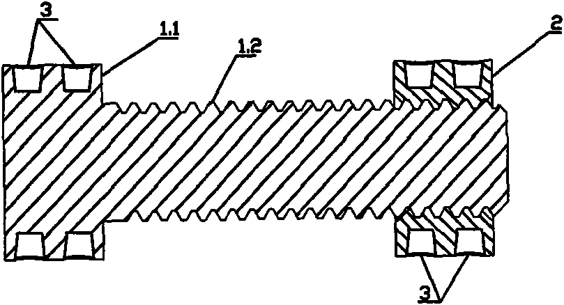 Bolt device and special spanner