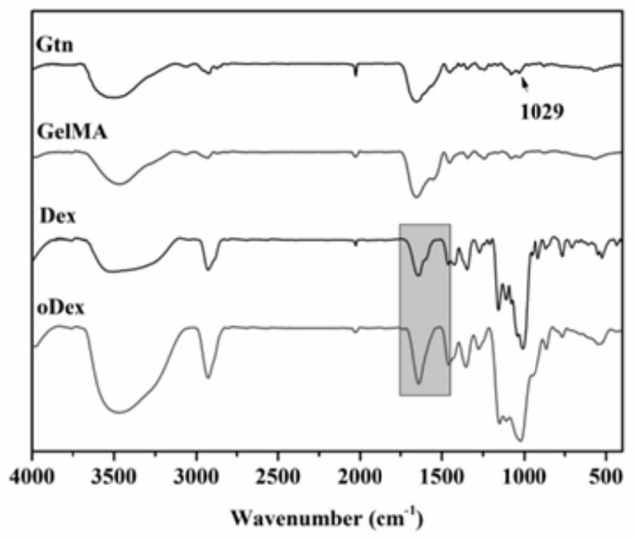 Hydrogel wound dressing with antibacterial and immunoregulation functions, and preparation method