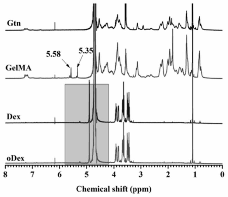 Hydrogel wound dressing with antibacterial and immunoregulation functions, and preparation method