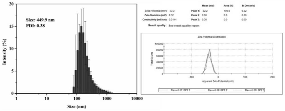 Hydrogel wound dressing with antibacterial and immunoregulation functions, and preparation method