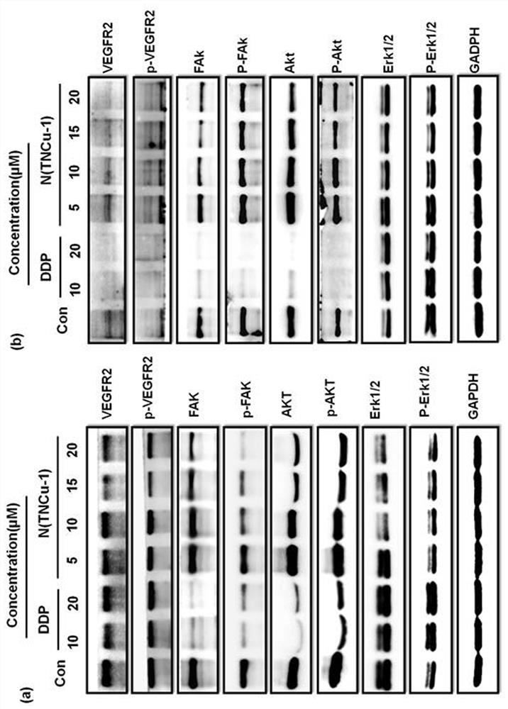 A kind of sulfur-containing aminoalcohol Schiff base copper complex and its preparation and application