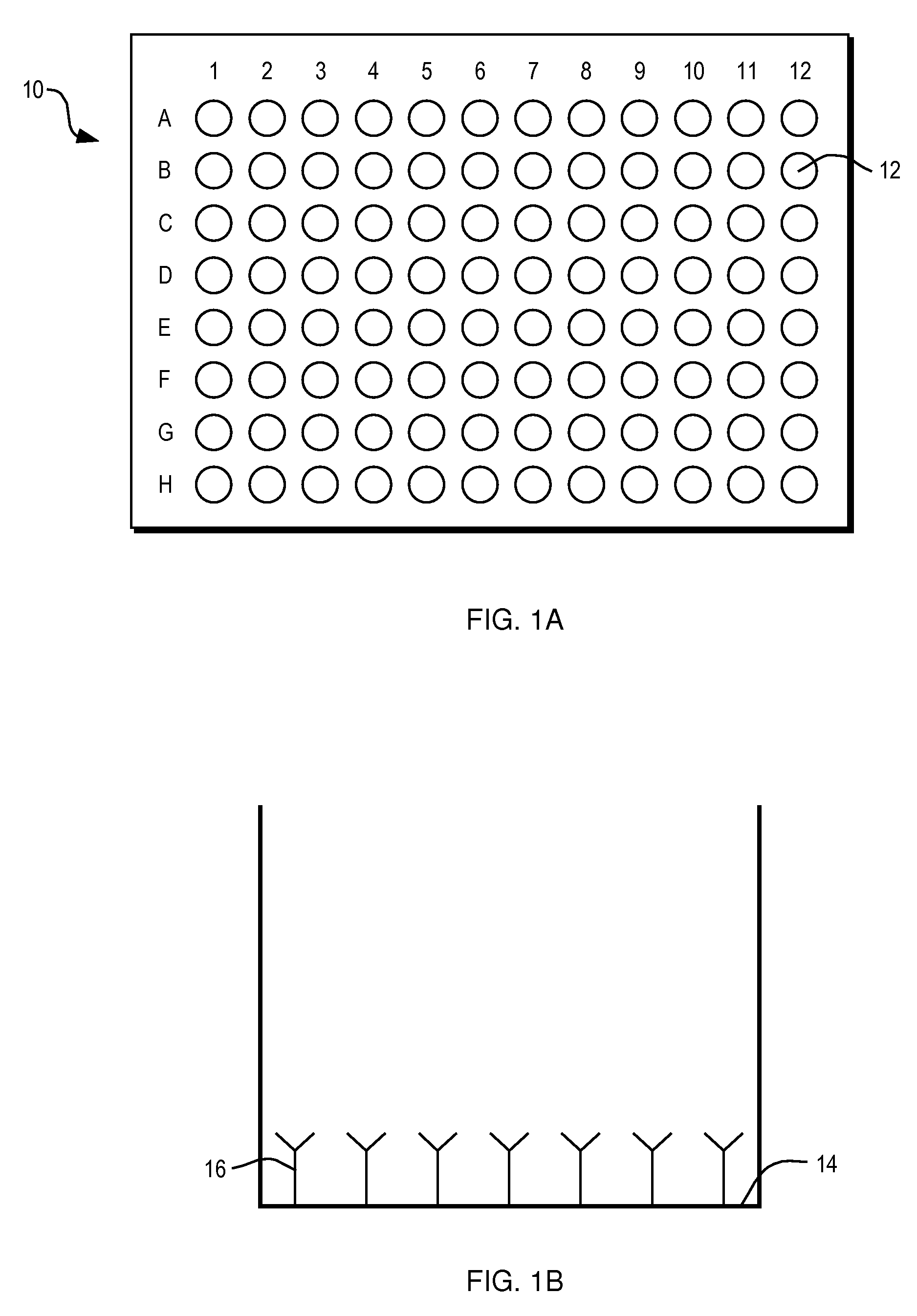 Device, kit and method for hookworm antigen capture and detection