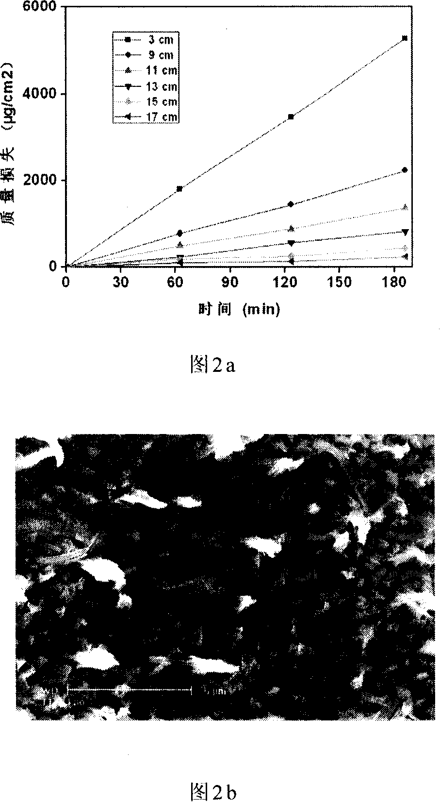 Method for simulating complex environment in low earth orbit space, and equipment of use