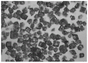 Piperacillin sodium tazobactam sodium preparation for injection and preparation method thereof