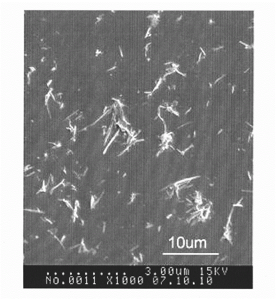 Method for separating and extracting fibrillar structure body in natural keratin fiber with organic acid solvent