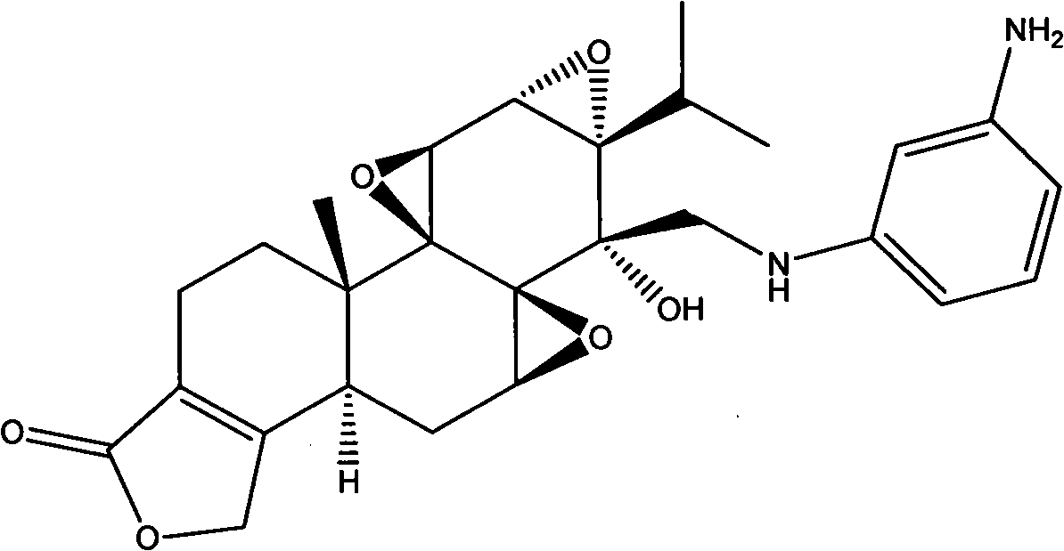 N-substituted amino phenyl-14 beta-(aminomethyl) triptodiolide derivative and preparation method and application thereof