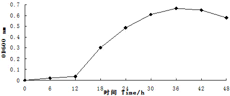 Method for improving salt resistance of tall fescue by virtue of air-dried sludge microbial agent