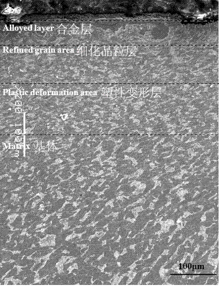 A preparation method of surface gradient alloy steel material based on bionic structure