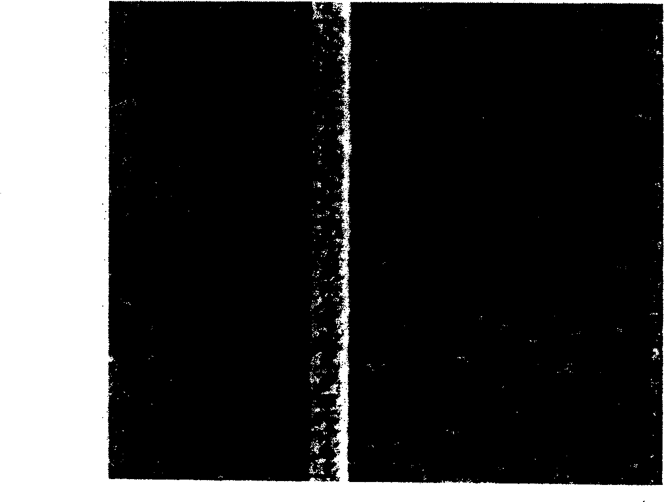 Material with metal silicide nanostructure and method for making the same