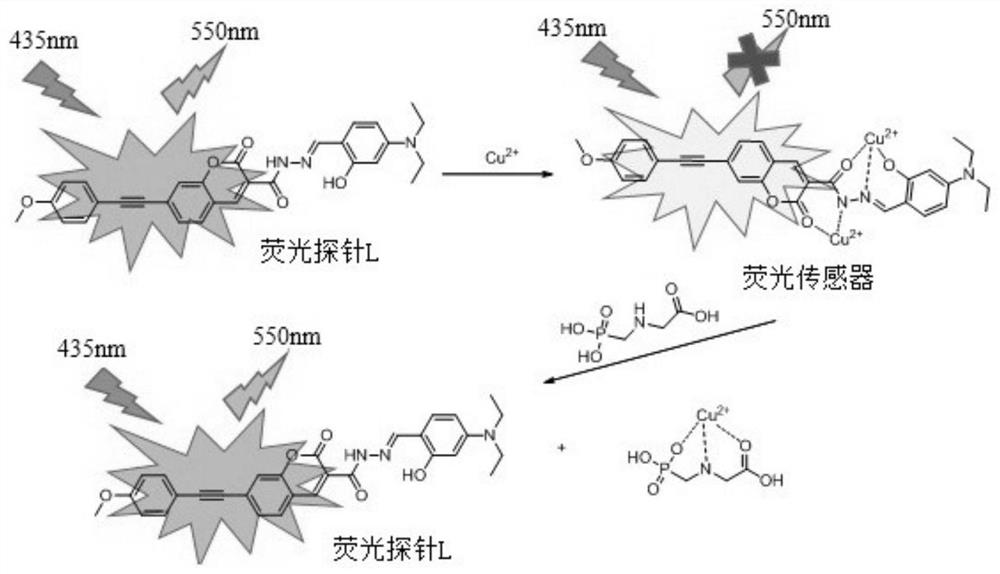 Preparation method and application of a fluorescent sensor for detecting glyphosate