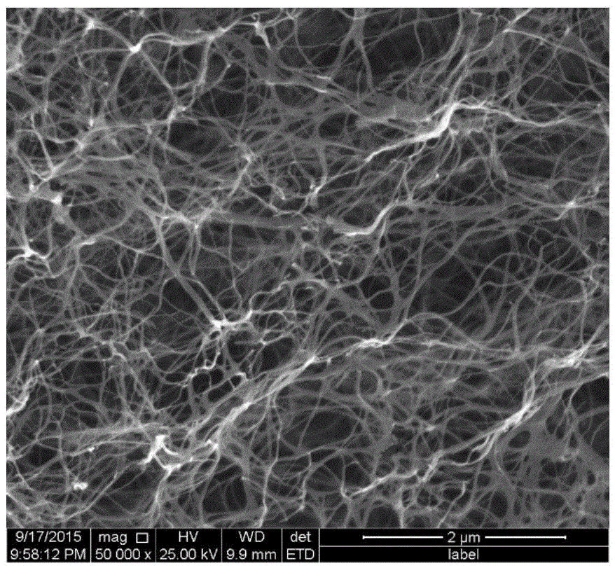 Lithium-sulfur battery containing barrier layer