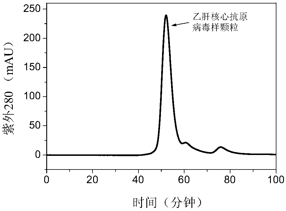 Purification method of HBcAg (hepatitis B virus core antigen)-VLP or HBcAg-VLP derivative