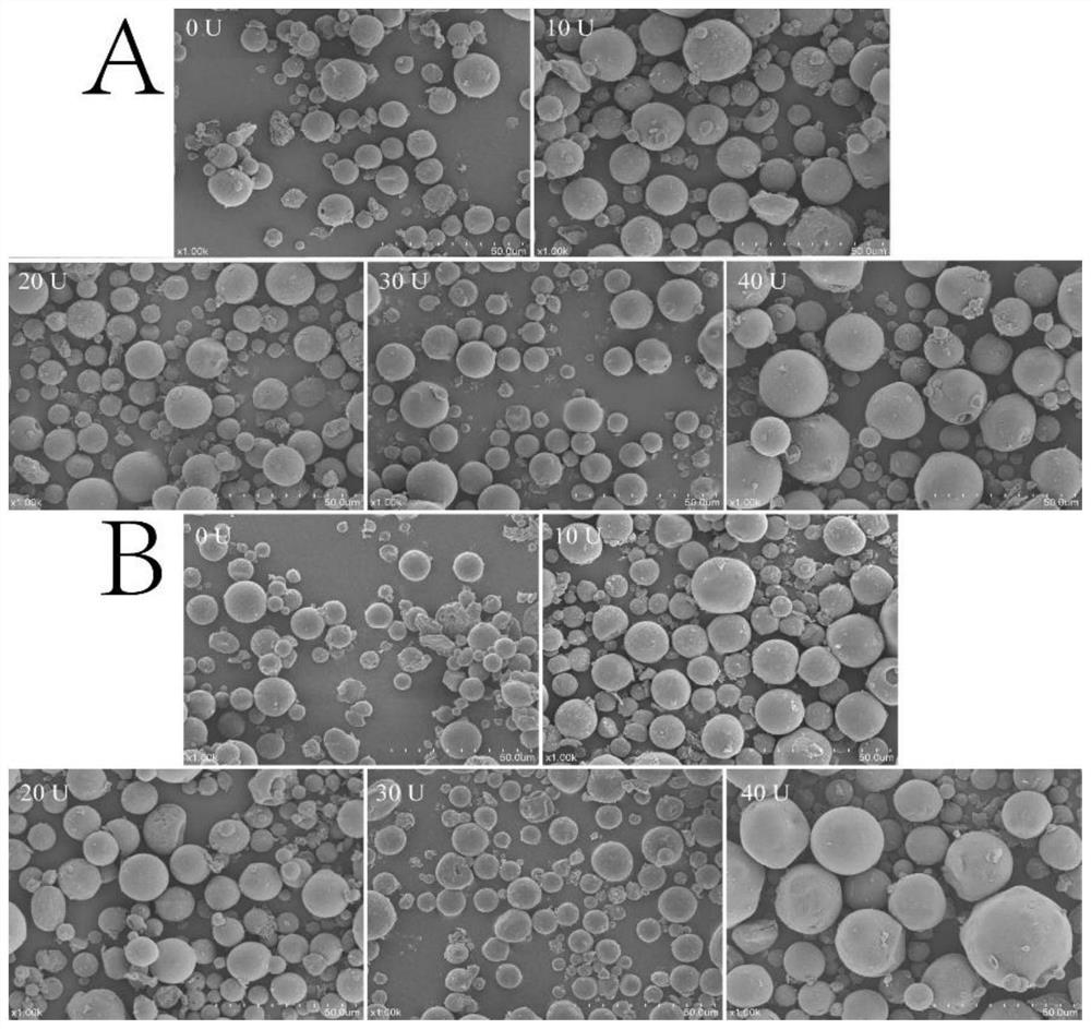 Sodium nitrite-gelatin microsphere and preparation method and application thereof