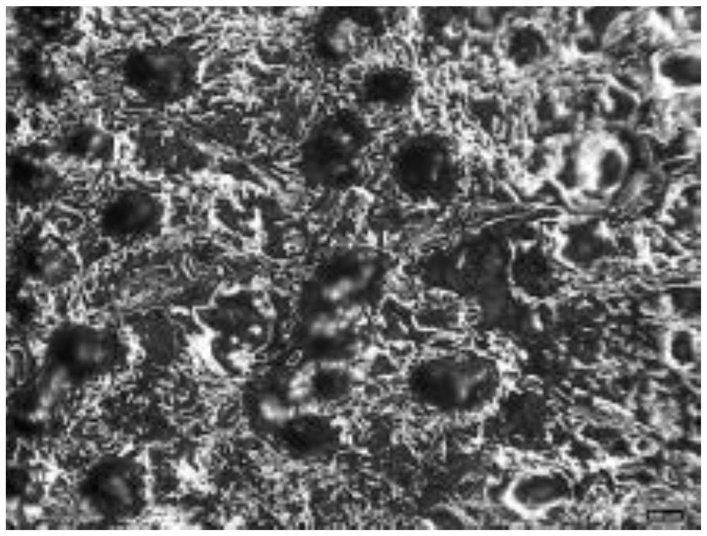 Preparation method of water-based photoresponse self-repairing leather finishing agent