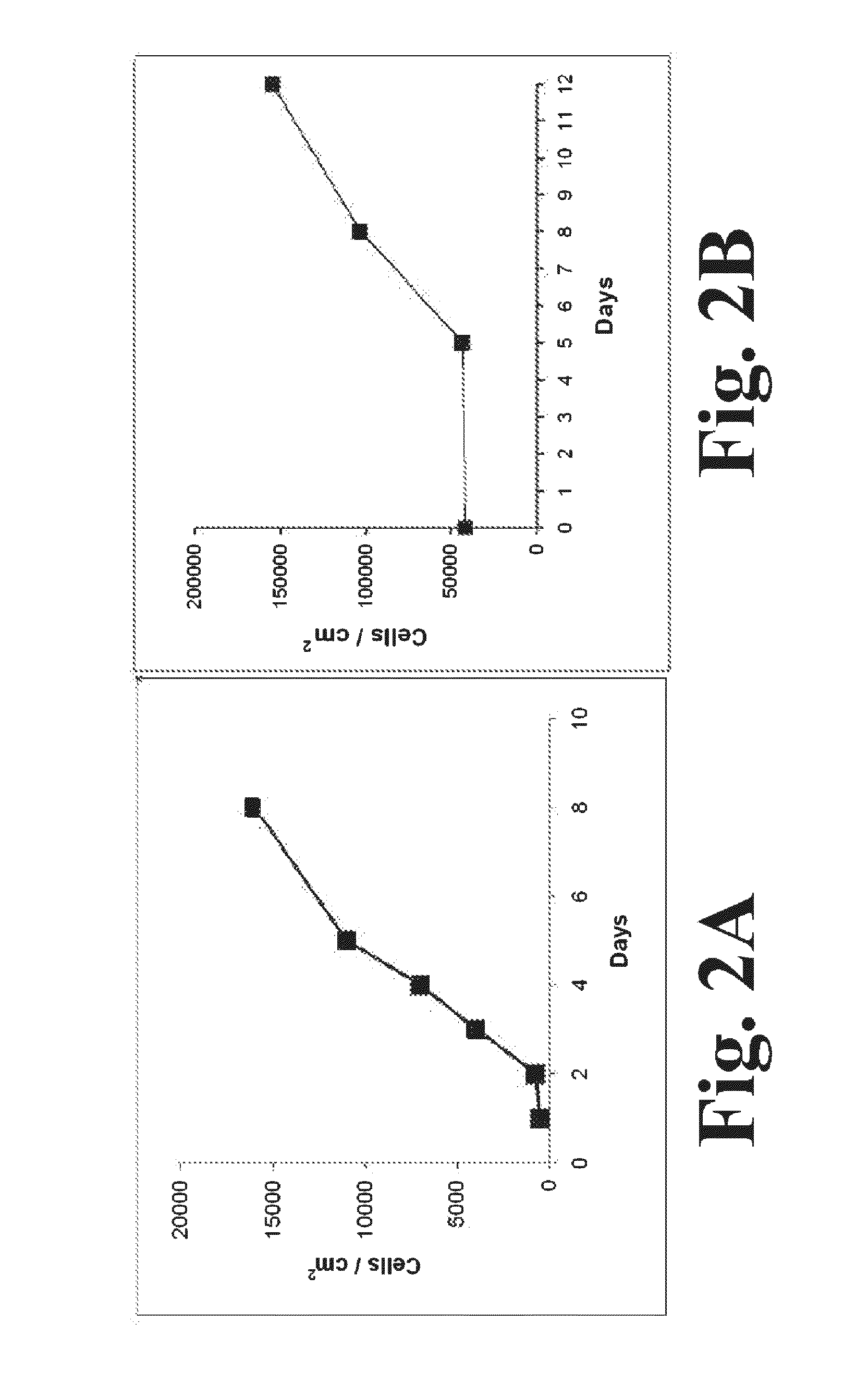 Methods of producing stem cell conditioned media to treat mammalian injuries or insults