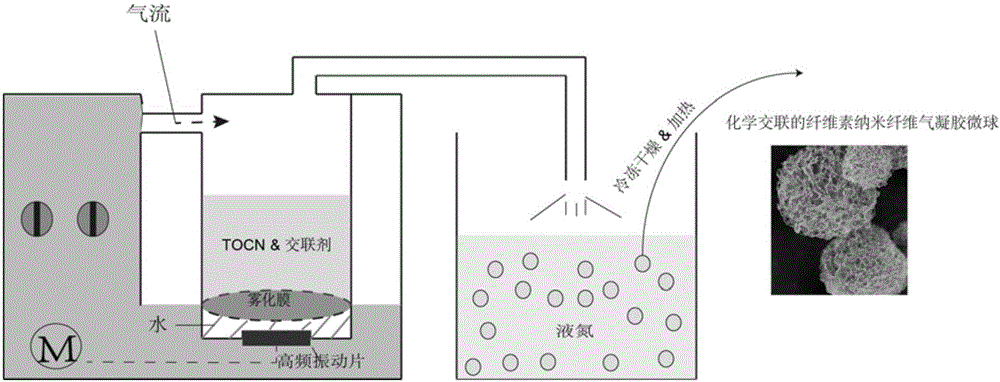 Preparation of Cellulose Nanofiber Airgel Microspheres by Ultrasonic Atomization