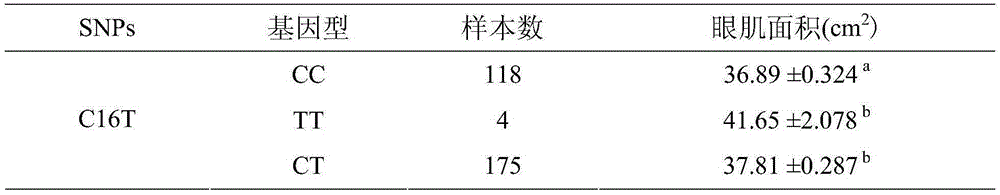 Method for identifying or assisting in identifying eye muscle area of 100-kg weight of pig and kit special for method