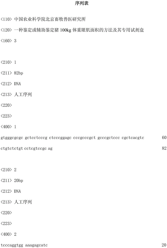 Method for identifying or assisting in identifying eye muscle area of 100-kg weight of pig and kit special for method