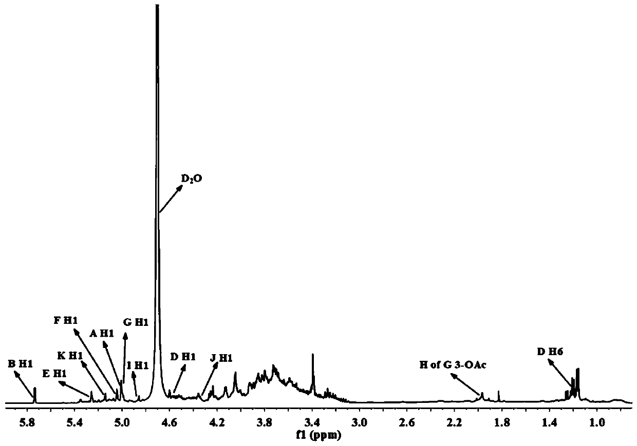 Alhagi sparsifolia sugar polymer and preparation method and application thereof